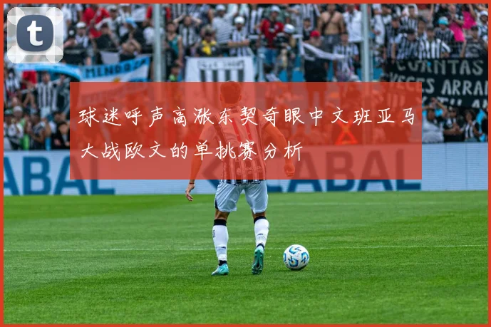 球迷呼声高涨东契奇眼中文班亚马大战欧文的单挑赛分析